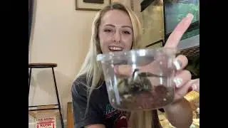 First Reptile Expo of 2023 + bringing home a new friend?! 🕷🤍