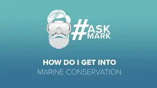 How Do I Get Into Marine Conservation | #AskMark | @simplyscuba