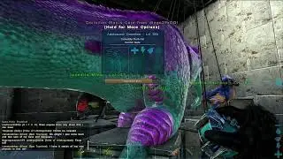 Ark#57