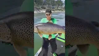 beautiful legendary #fishing #goingfishing