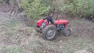IMT 539 Beast in action