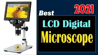 Best LCD Digital Microscope 2021