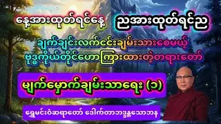 ဗုဒ္ဓကနိဗ္ဗာန် ချမ်းသာဖို့အတွက်ပဲဟောတယ်လို့ပြောတဲ့ ဘာသာခြားတွေသိသွားအောင် ဒီတရားတော်ကိုShare ပေးကြပါ