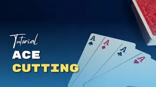They Find The Aces! SWS Episode 18!!