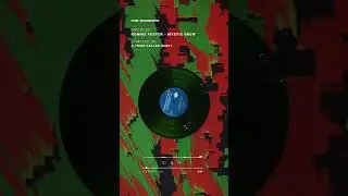 Perfect Loop 25 #atribecalledquest #qtip #hiphop #vinyl