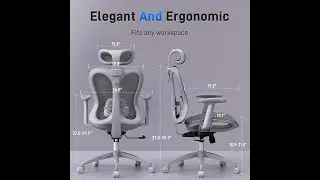 Ergonomic Office Desk Chair | Adjustable Mesh Computer Chair with Lumbar & Headrest Support.