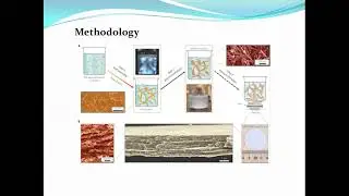 Biomimetic Multilayer Water Purification Membranes