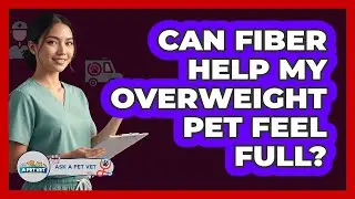 Can Fiber Help My Overweight Pet Feel Full?