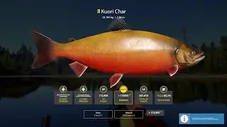 Kuori Lake Kuori Char Trophy 23 kg