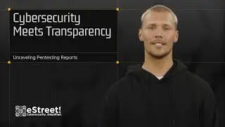 Demystifying Pentesting Reports: Learn to Audit the Auditors Like a Pro!