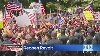 Reopen Revolt