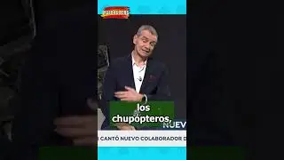 💪 Toni Cant&oacute; DEFIENDE el Gobierno PP y VOX de la #ComunidadValenciana