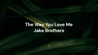 The Way You Love Me by Jake Brothers | Lyric video