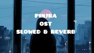 Pinjra Ost | Singers| Hadiqa kiani & Aashir. Wajahat | Slowed & Reverb