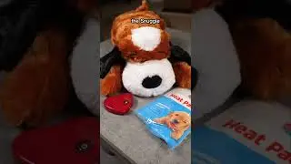 Your Dog Will Love This Comforting Toy! 🐶