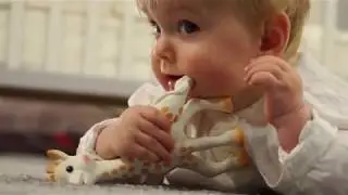 Жирафик Софи от французского бренда Vulli