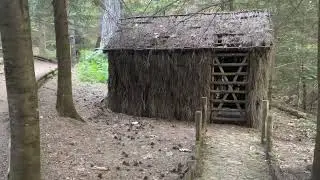 Villaggio Mancuso (CZ) - Riserva naturale biogenetica Poverella - Sila Piccola - Calabria