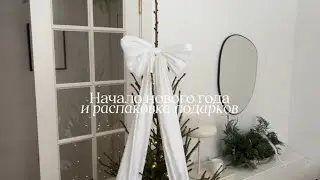 начало нового года / распаковка подарков