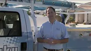 Termite Control in Phoenix
