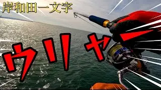 岸和田一文字　釣れた次の日に釣れた時間に行ったら最高過ぎた