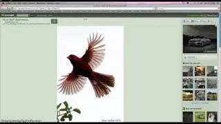 Live Trace and Expanding an Image in Illustrator
