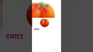 pls subscribe- 4kids- Hindi-English-Malayalam( shorts @kidsnotebook )