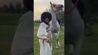 🇬🇪 Мераб Двалишвили есть Мераб Двалишвили