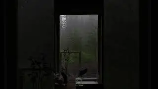Heavy Rain Sounds 🌧️ Sleep Instantly in 60 Seconds 😴 #Shorts