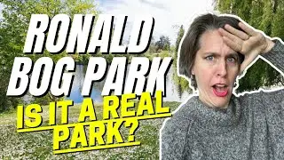 Fun Things To Do In Shoreline WA - Ronald Bog Park
