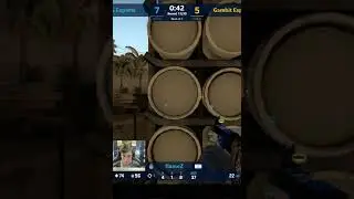 OG vs Gambit (Ax1Le highlight)