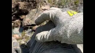 Best year silver ore detecting spring & fall
