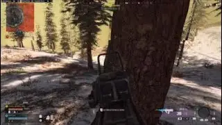 Call of Duty chetal