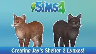 THE SIMS 4 CATS & DOGS | CREATING MY SHELTER 2 LYNXES!