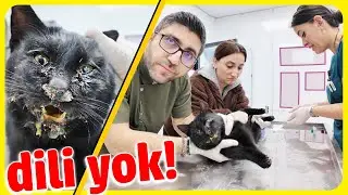 Ağzı var ama... 😥
