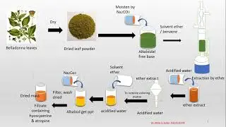 Isolation of Atropine from Belladona leaf