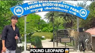 Yamuna Biodiversity Park me dikha Leopard | Real Leopard Sighting in Delhi | Jungle Vlog