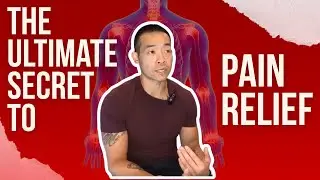 The Best Pain-Relieving Tool Of All Time - Strength Training | DrJasonWonPT