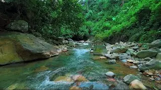 4K-HDR | River Sounds for Sleep and Inner Peace | Relaxing Water Ambience for Calm and Stress Relief