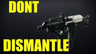Don't Dismantle this GOD ROLL (Multimach SMG God Roll Guide)