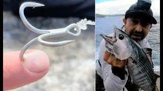 Bonito and tuna rock fishing from the cliffs south of Perth WA