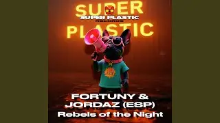 Rebels of the Night