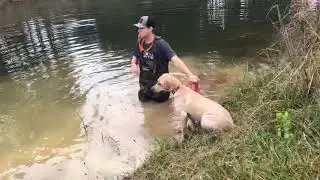 Training dixie(my dog)
