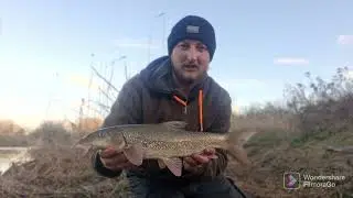 Back To Barbel Fishing!