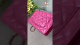 Chanel WOC Wallet On Chain  With Gold Metal Tone Lambskin Pink