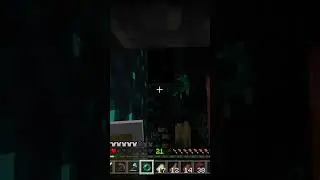 Very rare warden encounter❗️❗️#minecraft #warden #mining #cool #mojang