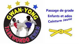Cours N°1 : ceinture jaune