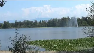 Summer Walk - Mill Lake Park
