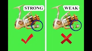 BEST 5 Spinning Reels 2019 (under 50$)