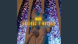 Abelhas e Moscas