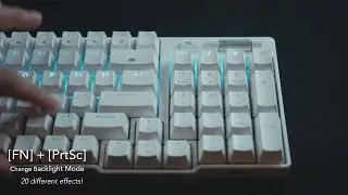 Royal Kludge RK96  Backlight Demonstration